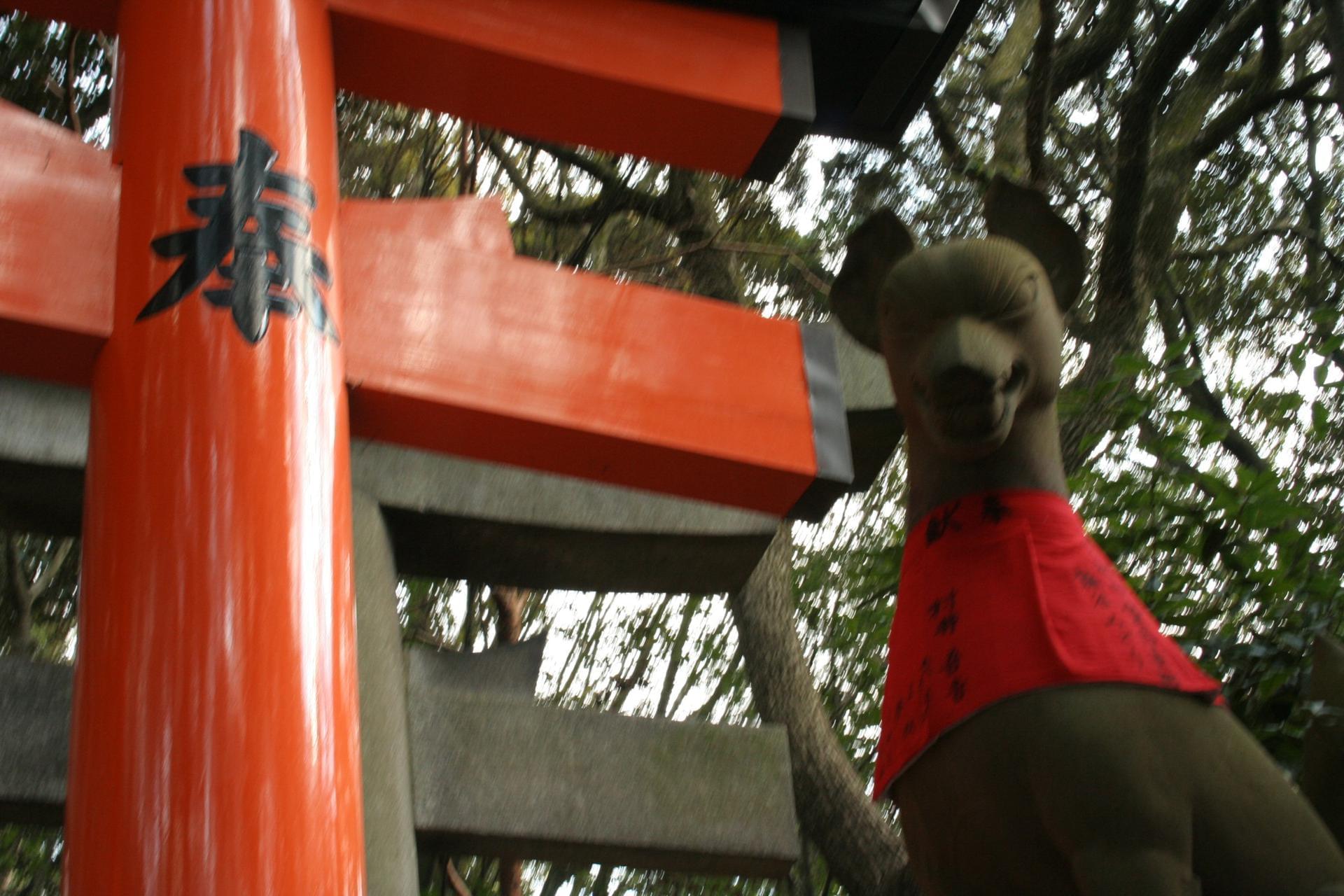 Kyoto
