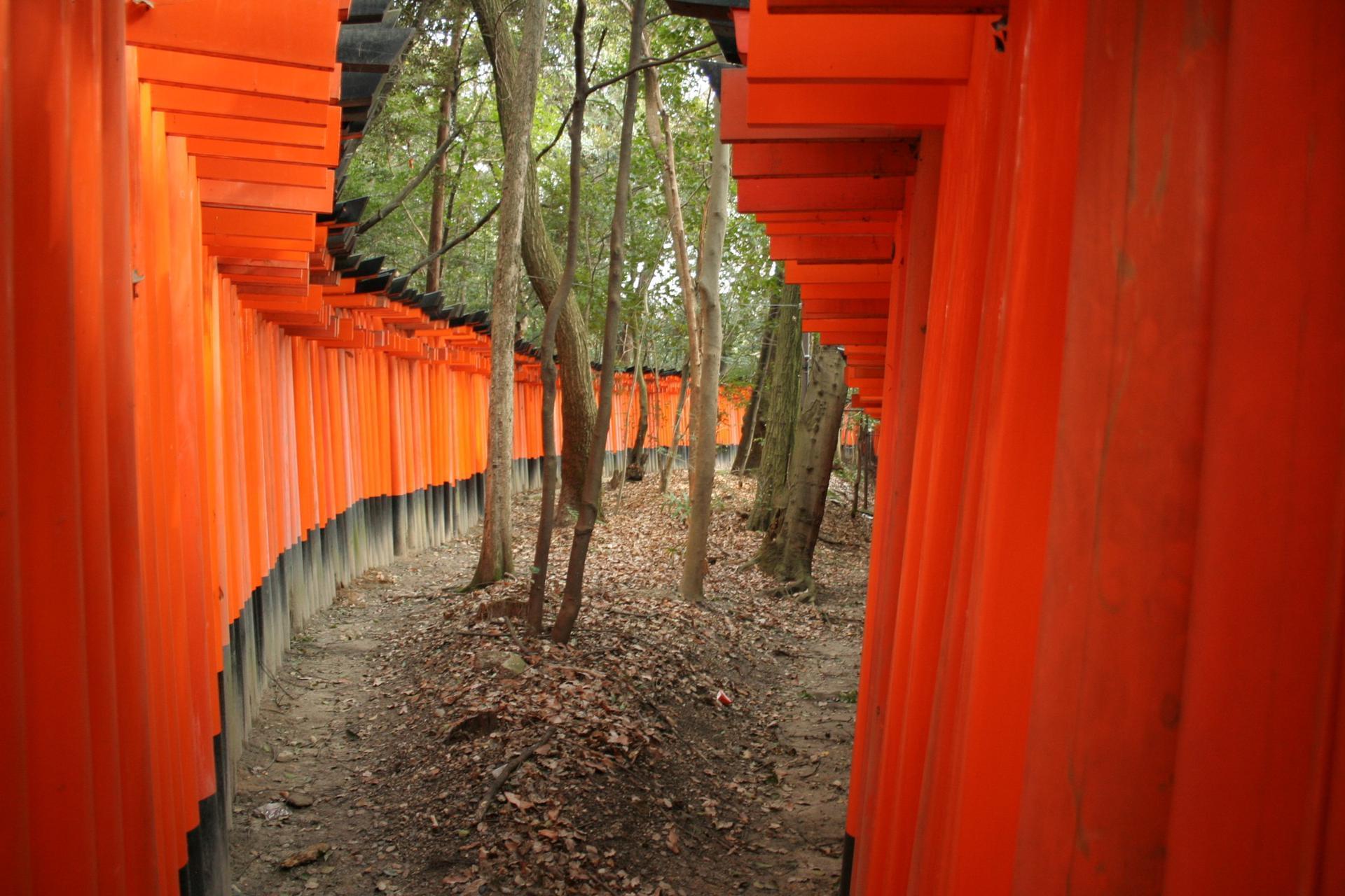 Kyoto