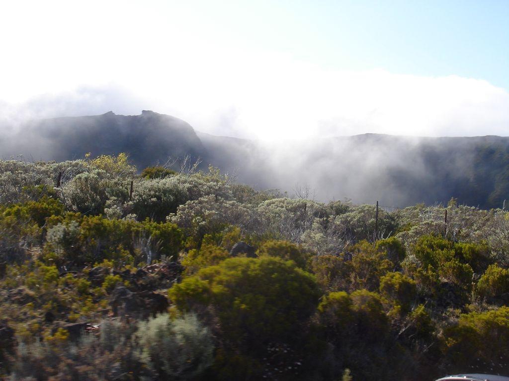 La Réunion