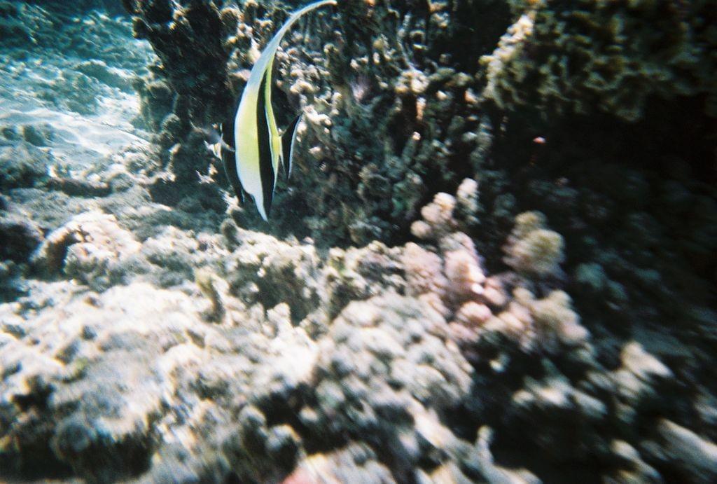 La Réunion