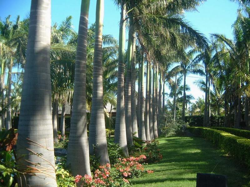 La Réunion