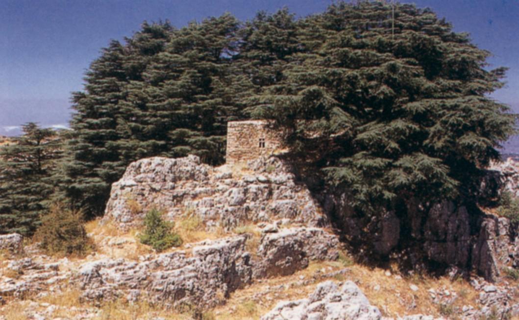 Liban