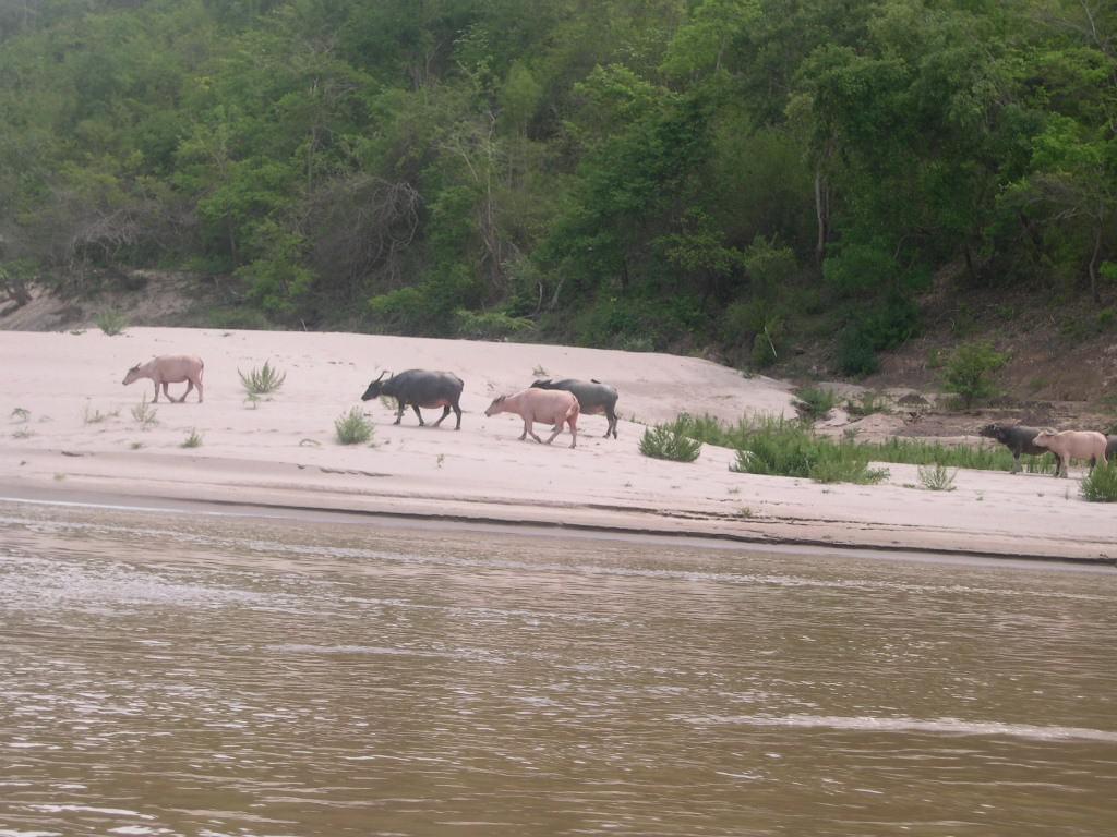 Luang Prabang