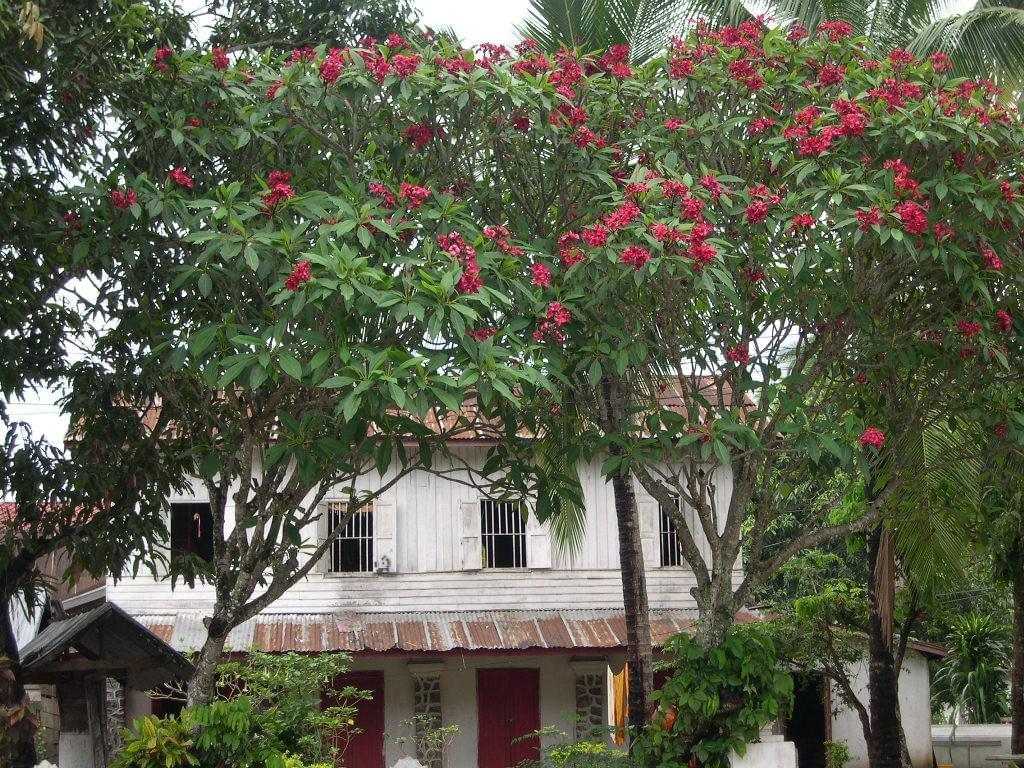 Luang Prabang