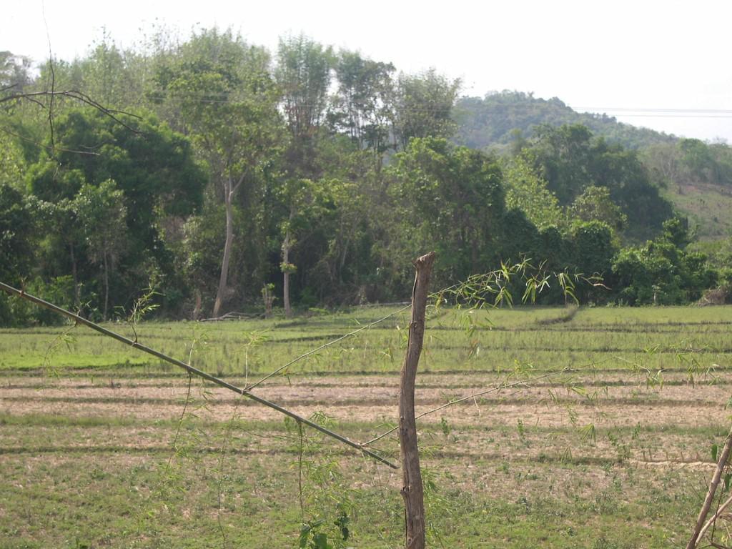 Luang Prabang