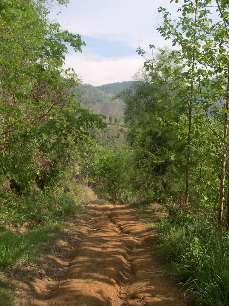 Luang Prabang