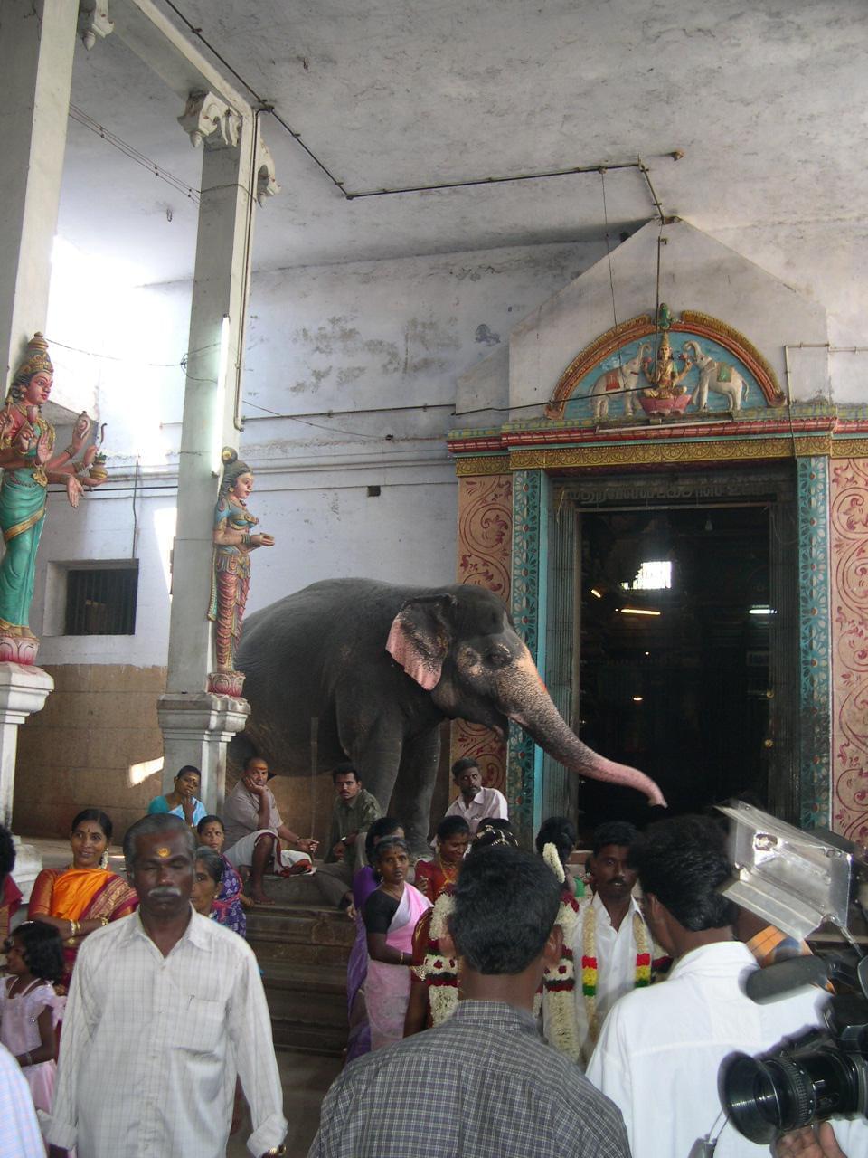 Madurai