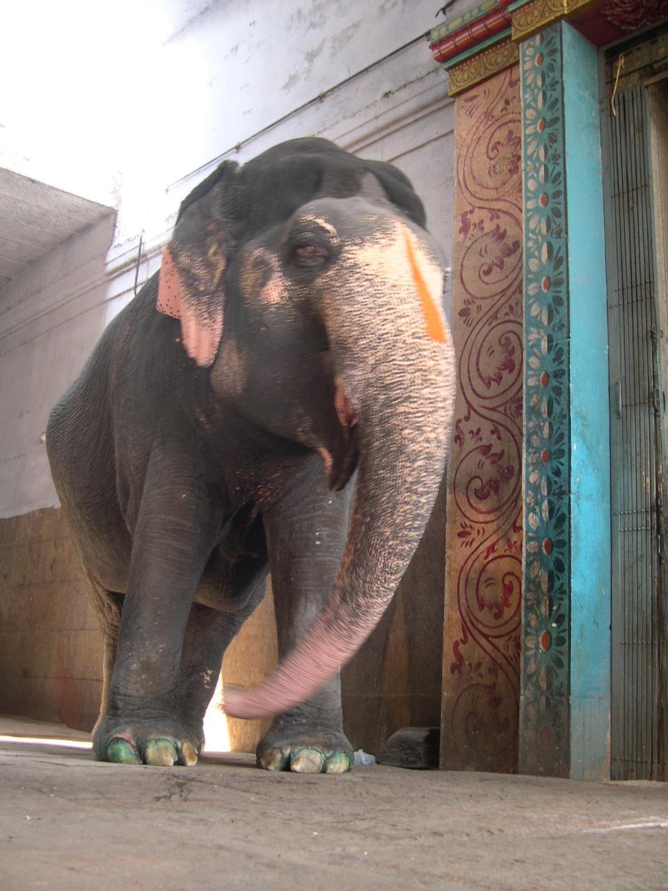 Madurai