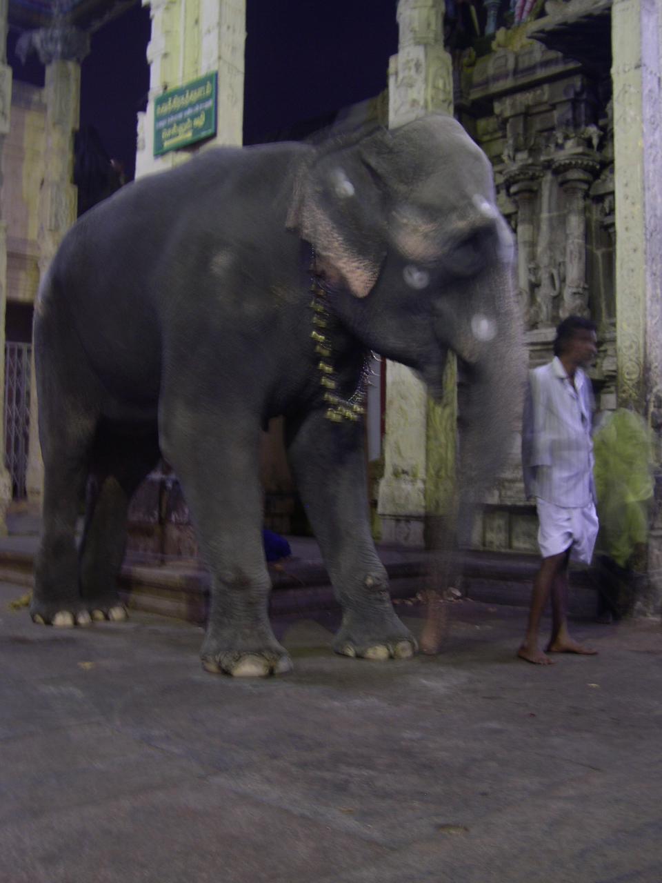 Madurai
