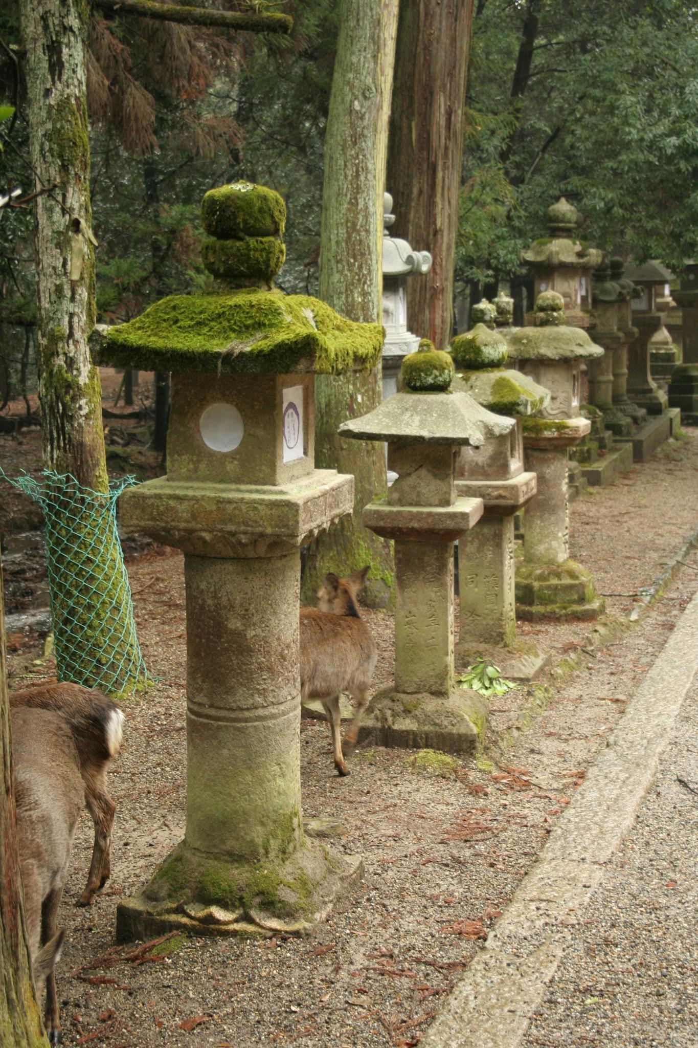 Nara