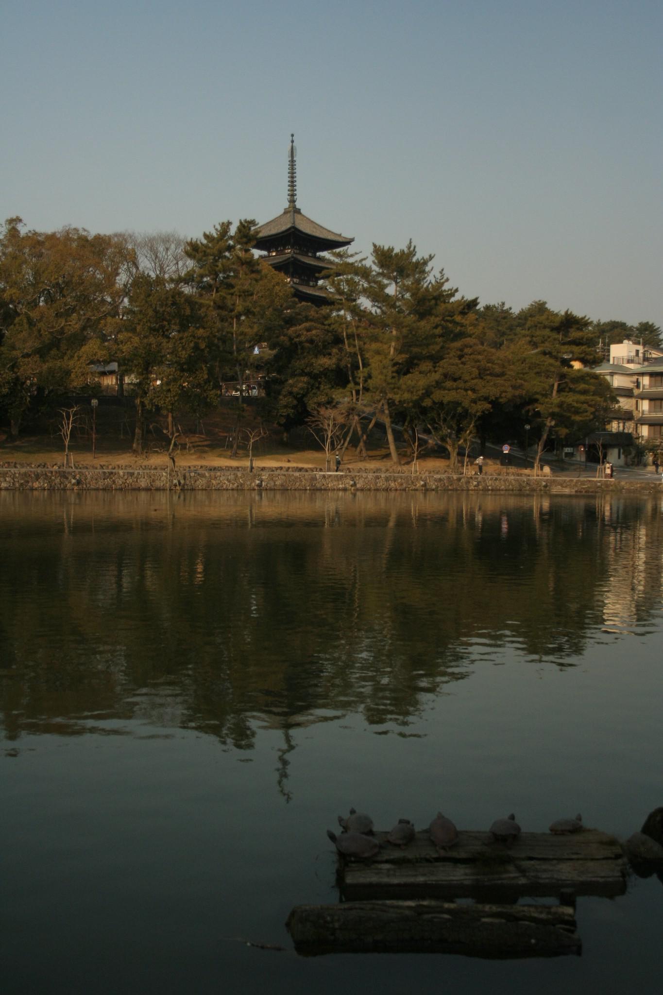 Nara