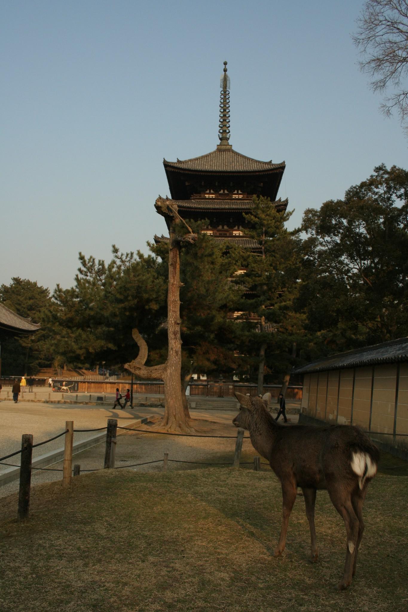 Nara