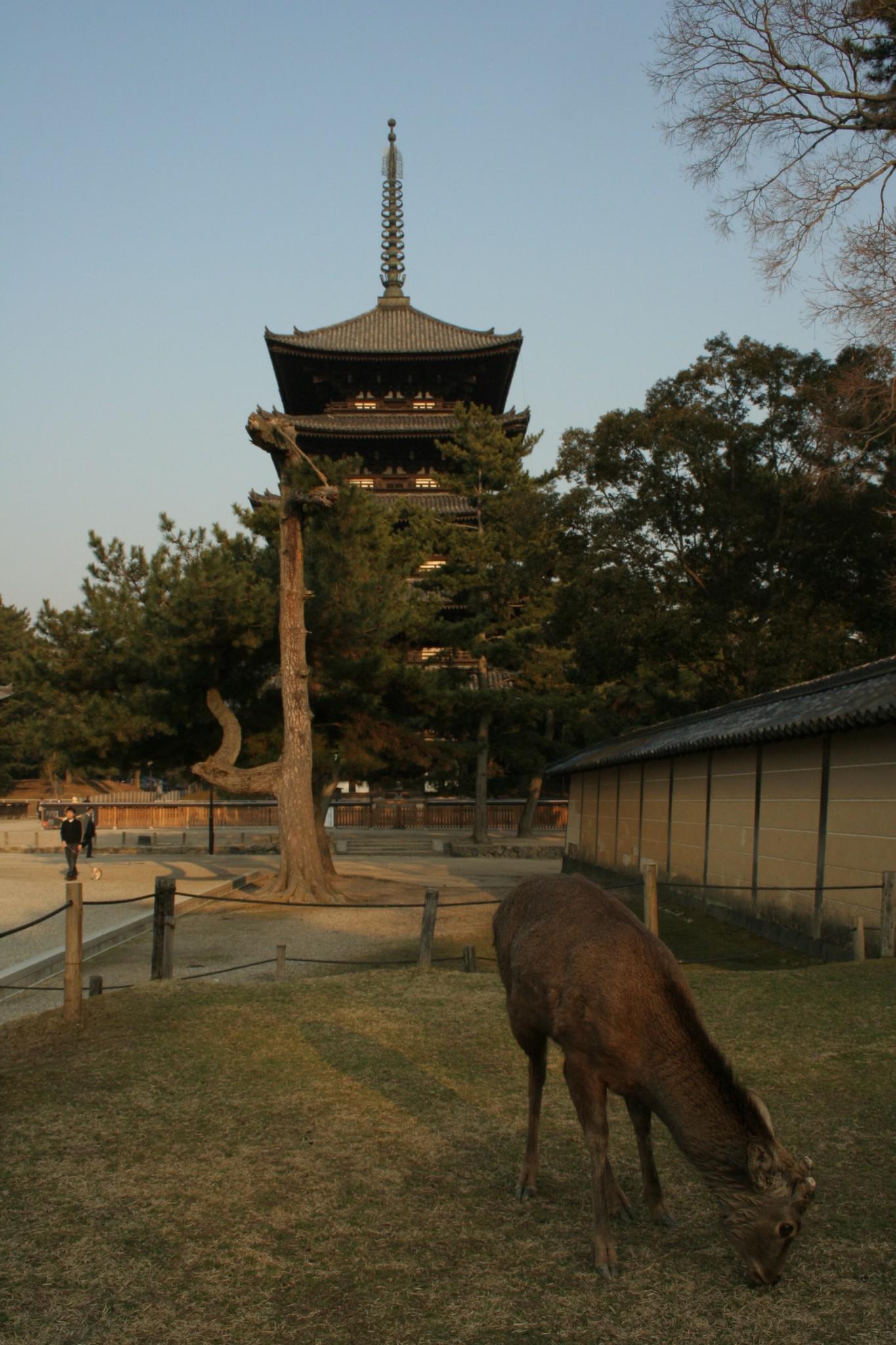 Nara