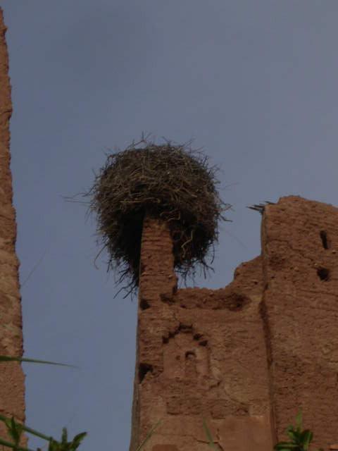 Ouarzazate