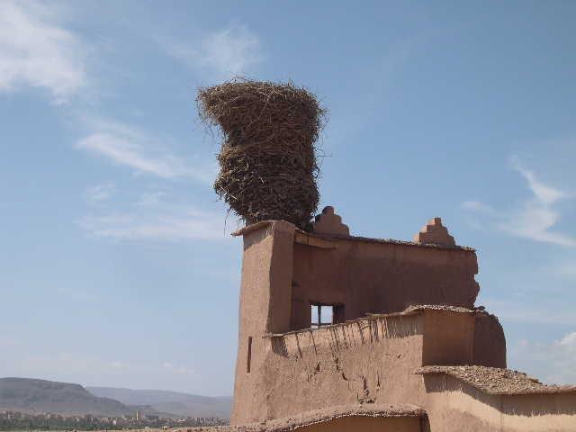 Ouarzazate