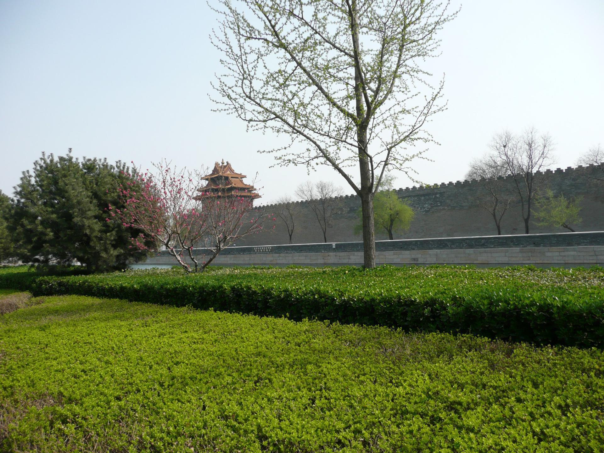 Pekin