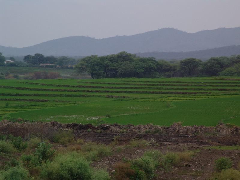 Pérou