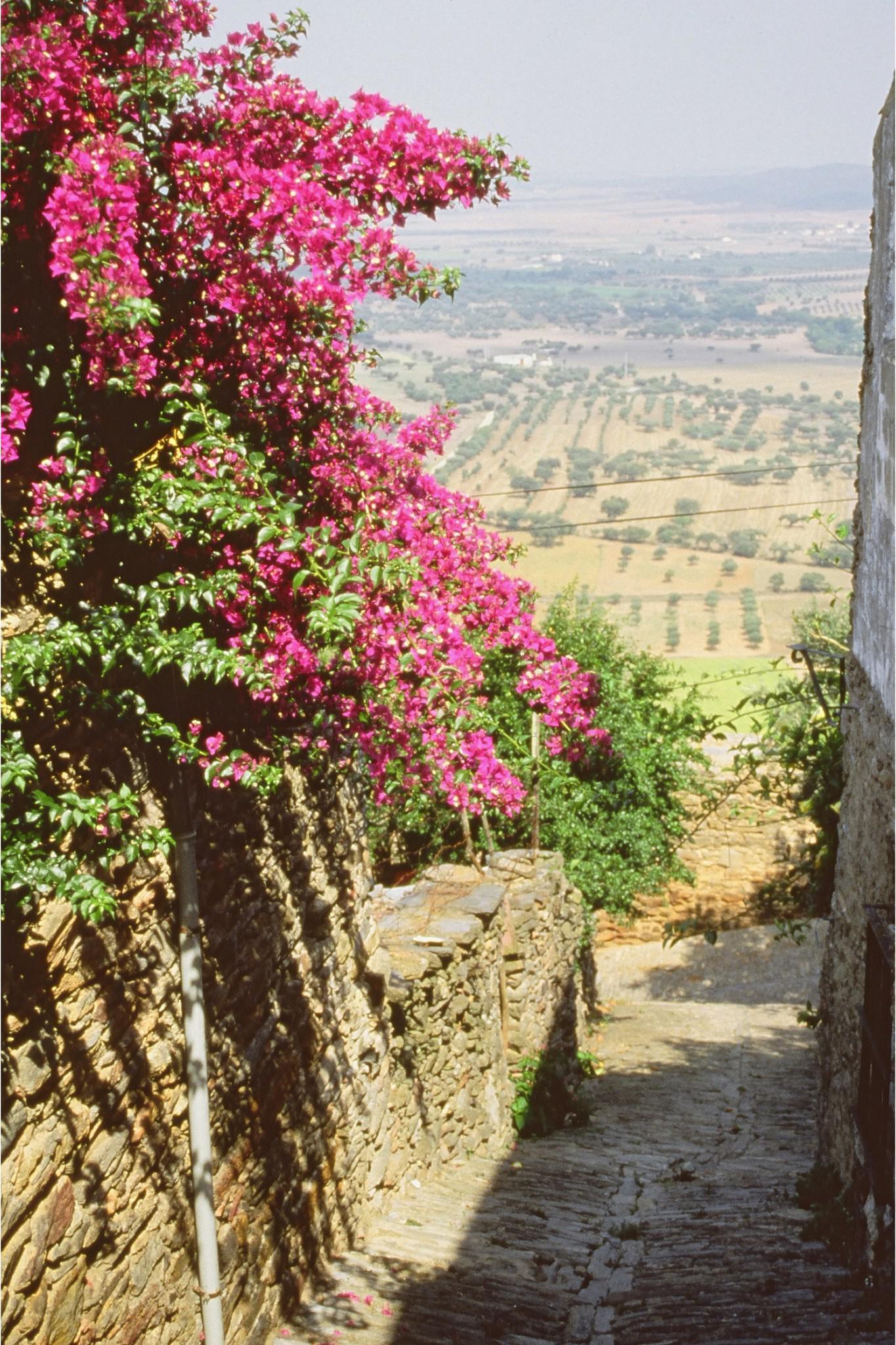 Portugal