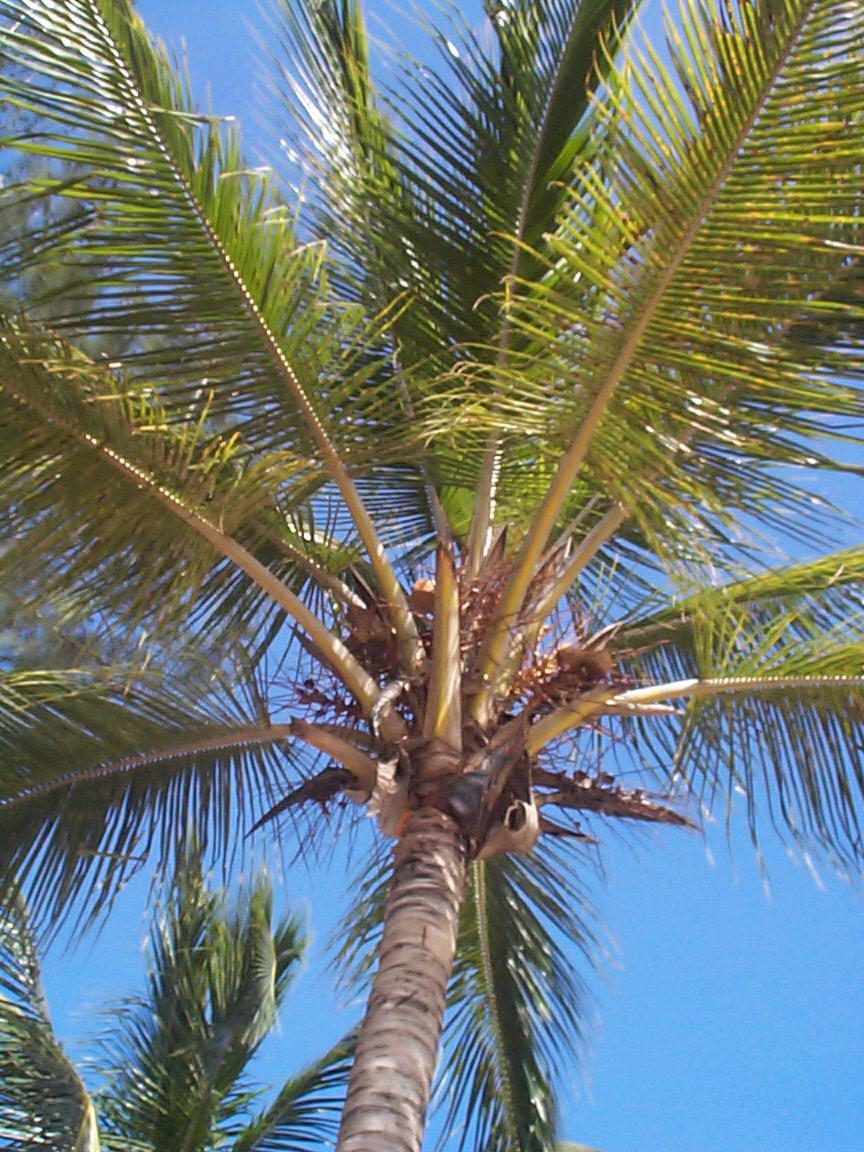 République Dominicaine