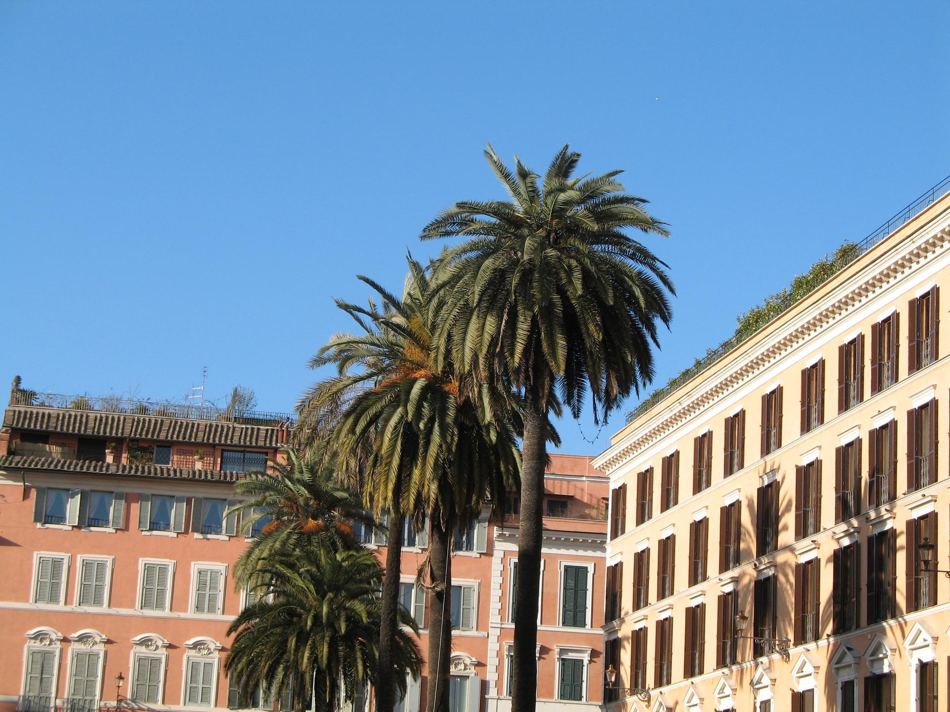 Rome