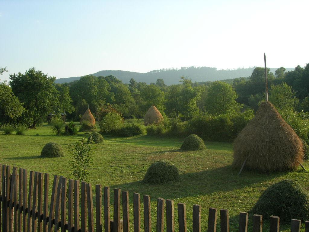 Roumanie