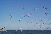 Photo Sitges