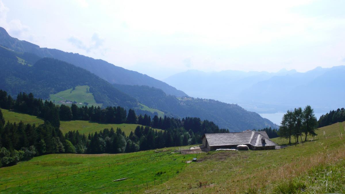 Suisse