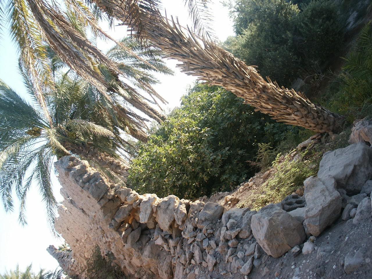 Guide Syrie