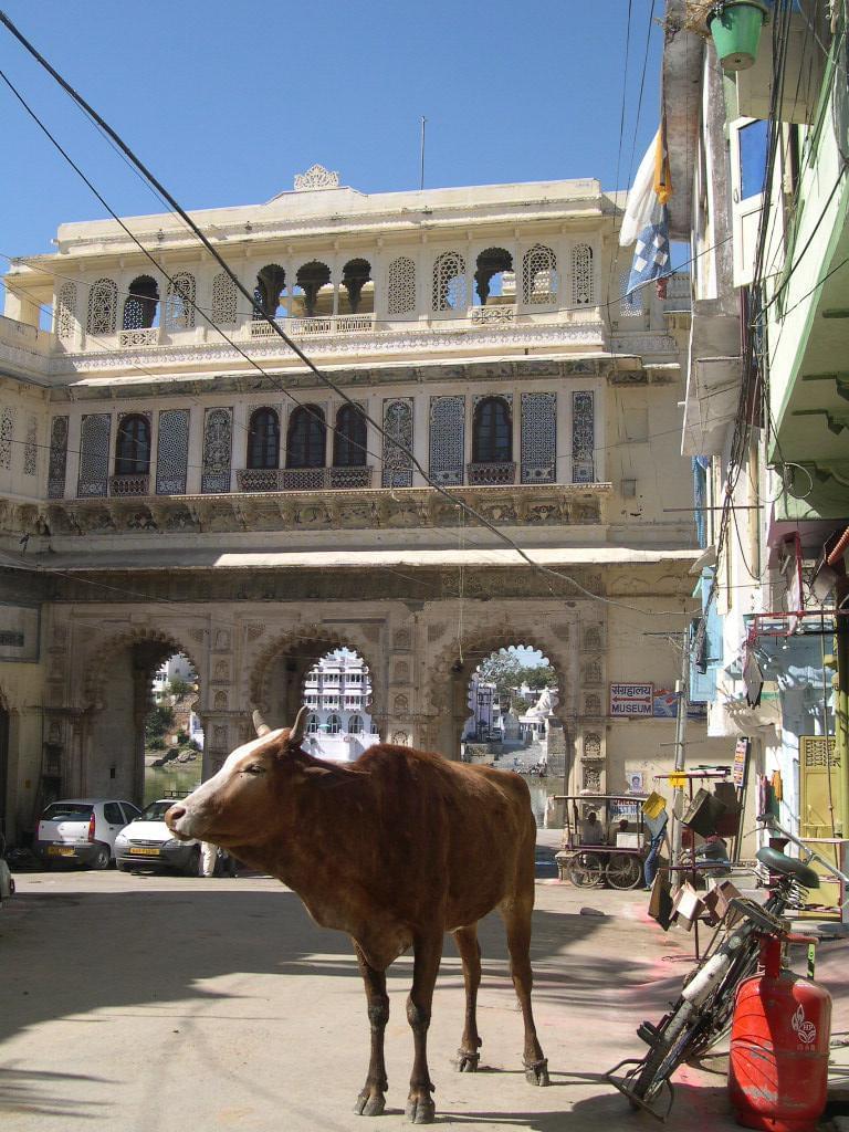 Udaipur