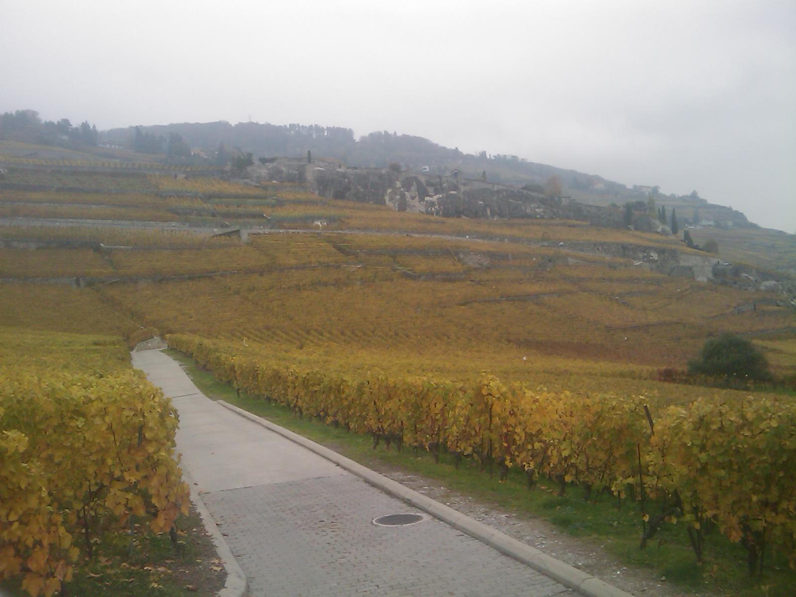 Canton de Vaud