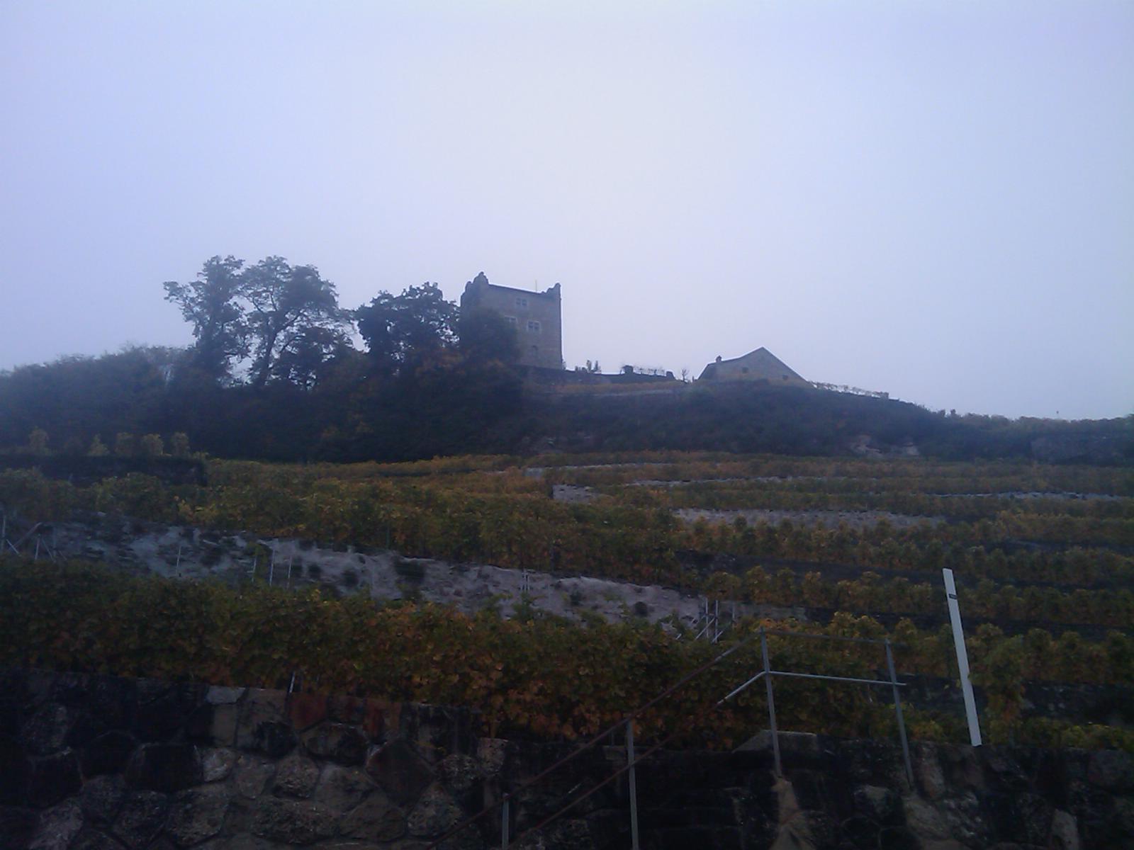 Canton de Vaud