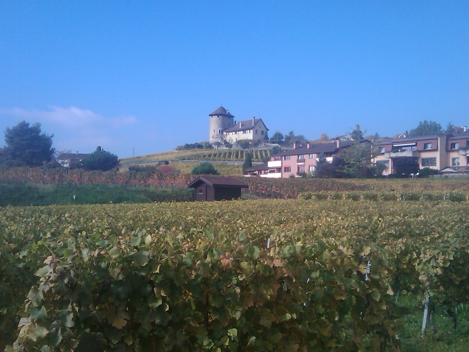Canton de Vaud