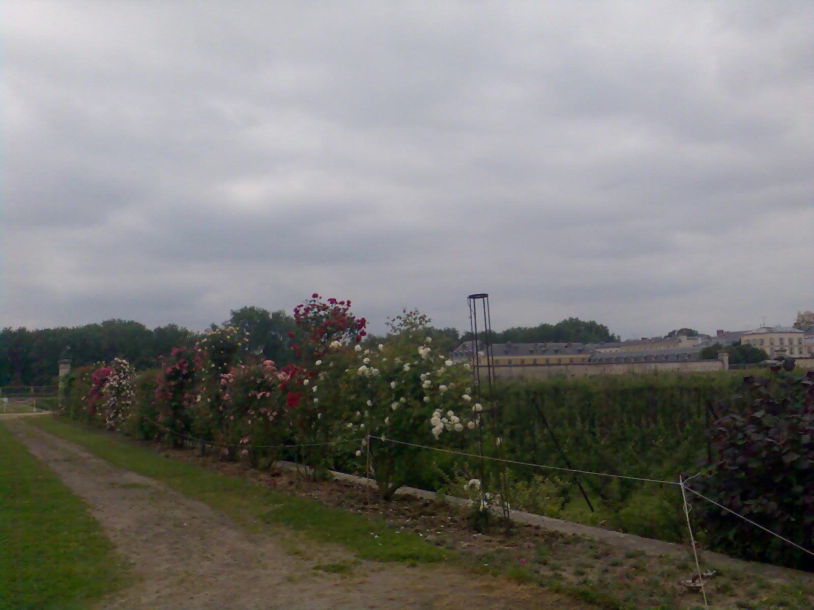 Versailles