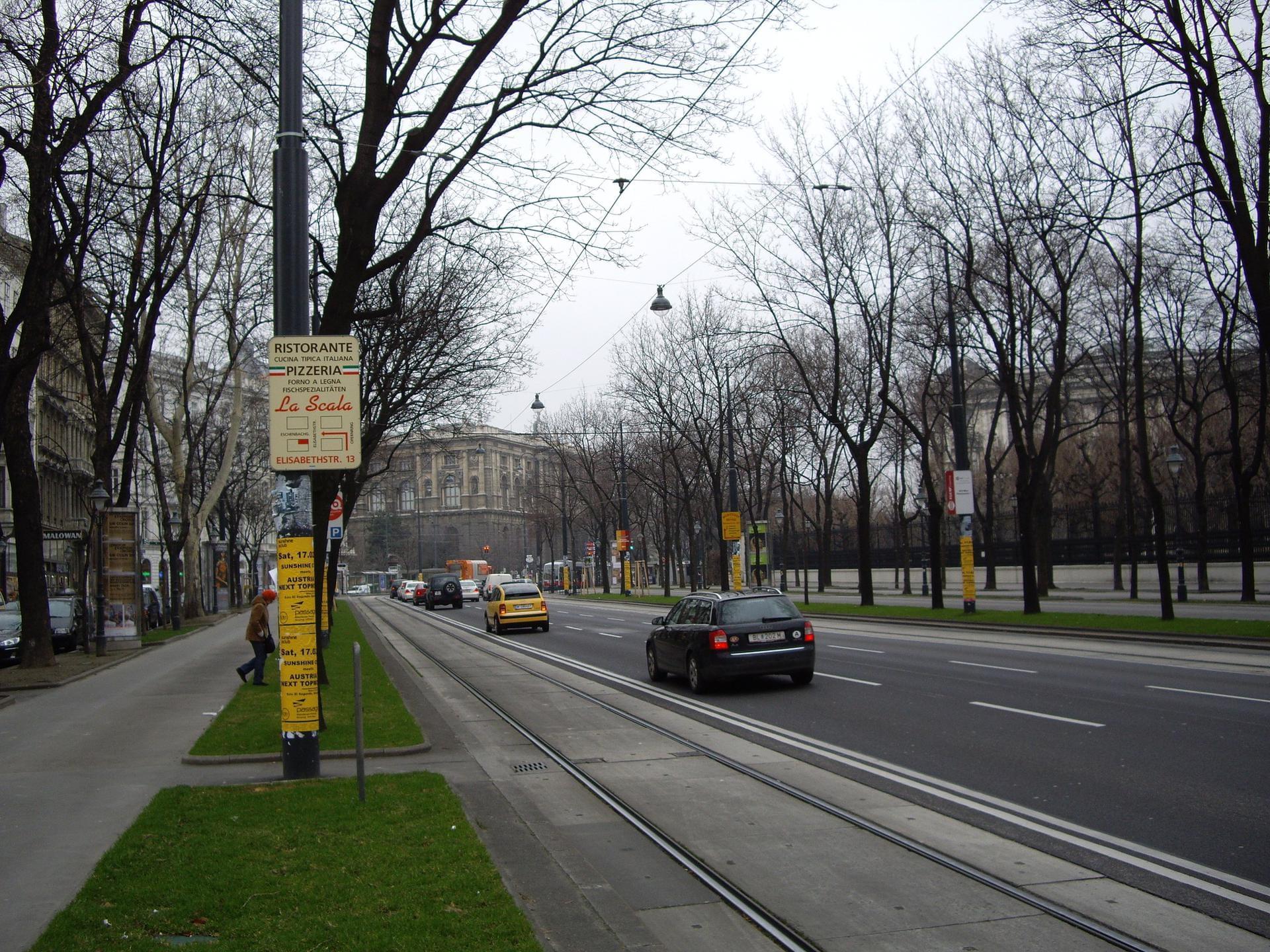 Vienne