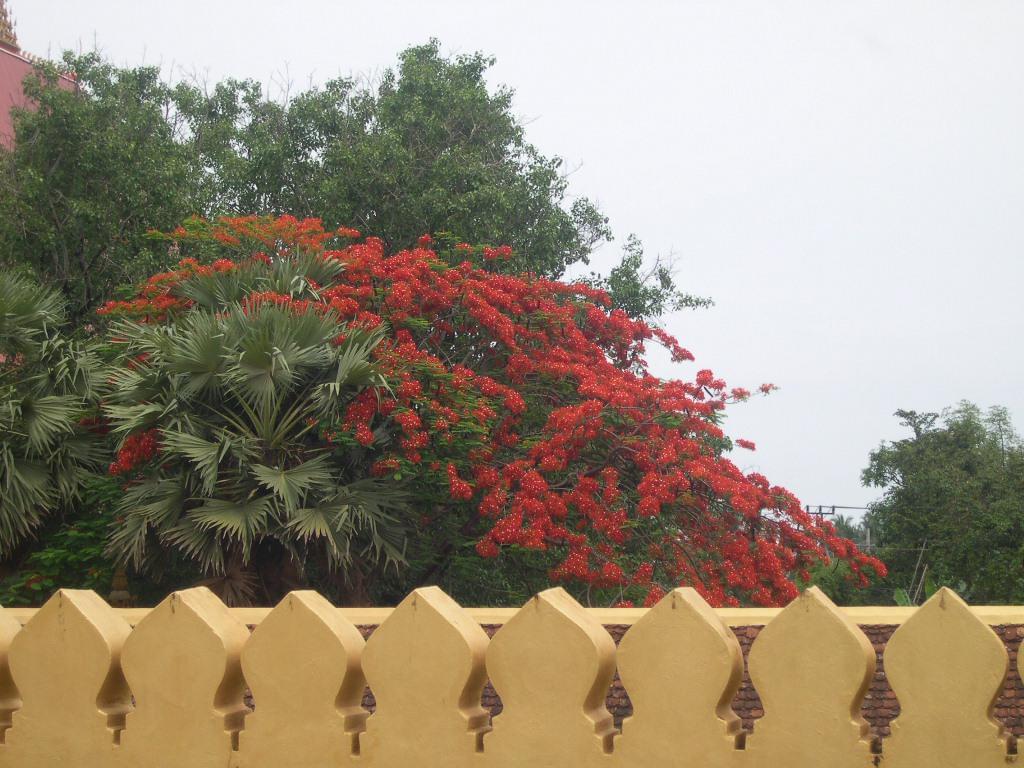 Vientiane