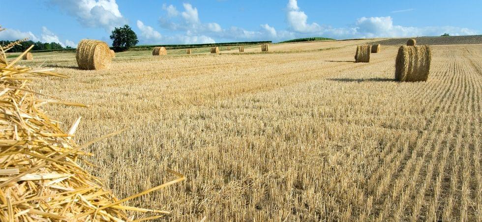 Photo Charente