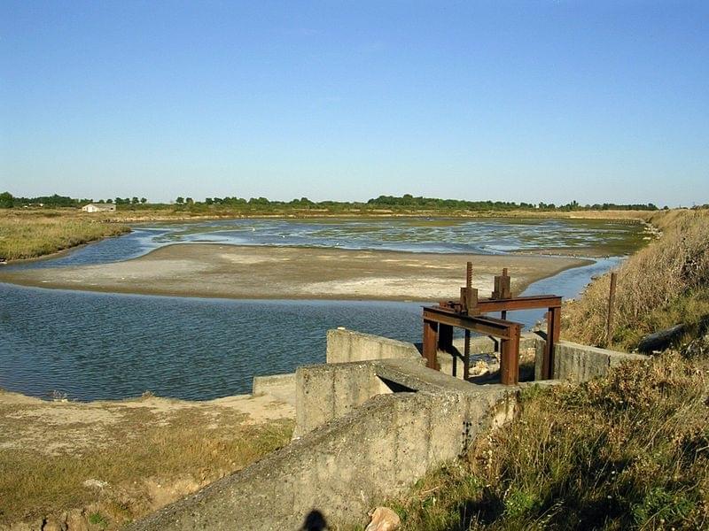 RÃserve naturelle du Marais dYves
