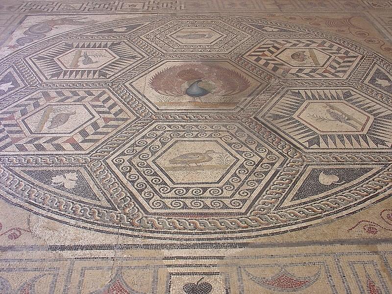 MusÃe archÃologique ThÃo Desplans