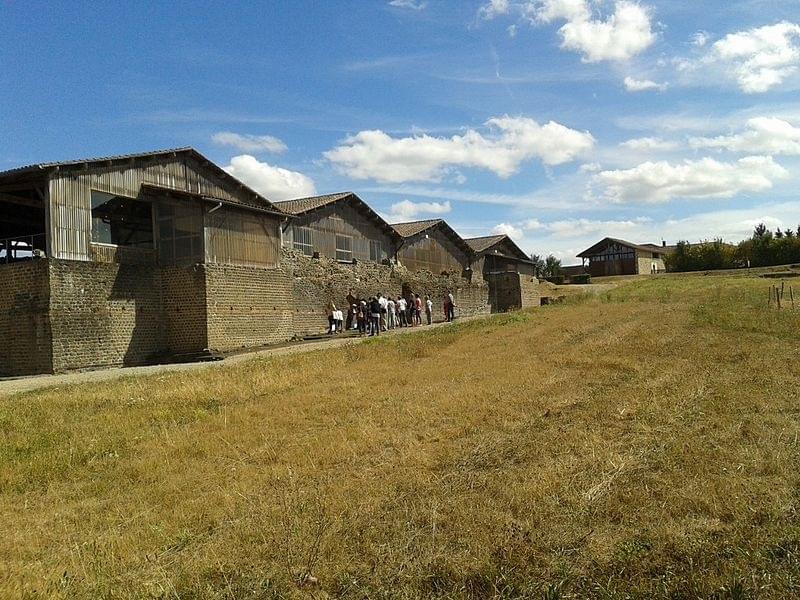 Thermes galloromains de Chassenon