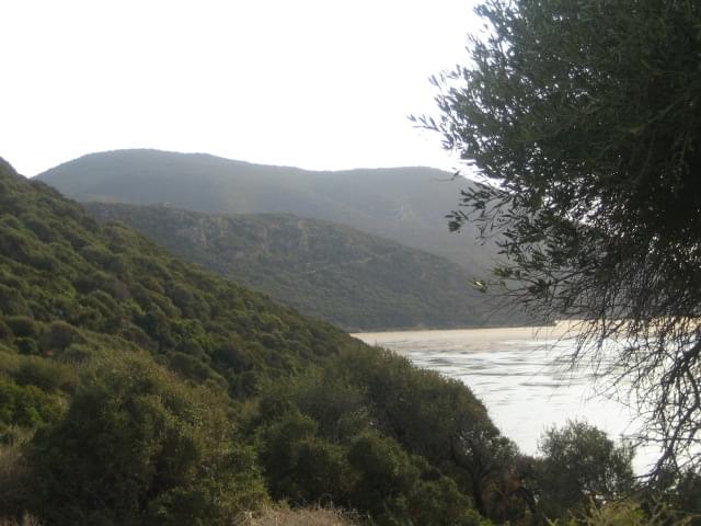 Lac dIchkeul