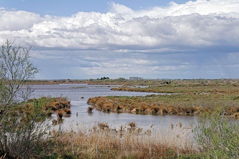 Parc Ornithologique de Pont de Gau