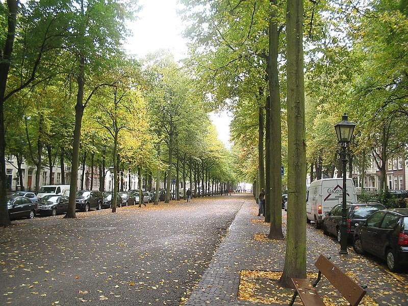 Avenue Lange Voorhout