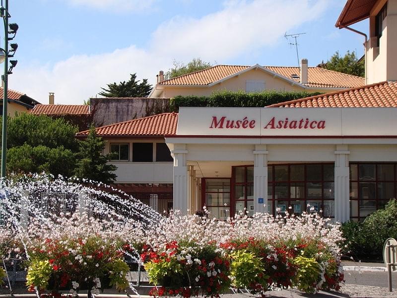 Asiatica