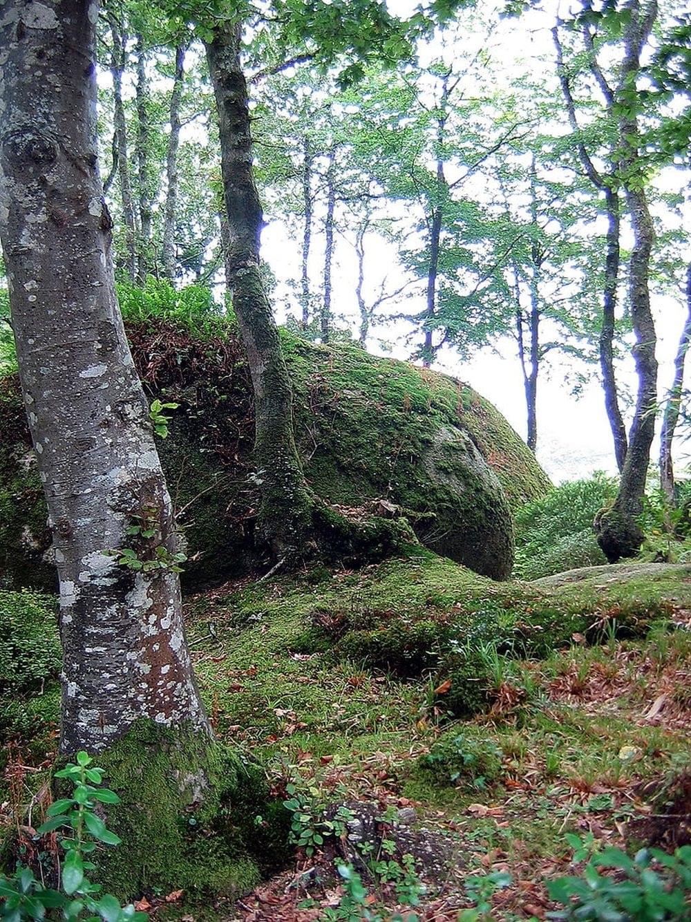 ForÃªt de Huelgoat