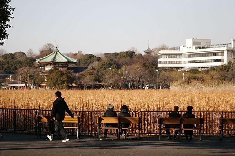 Etang Shinobazu
