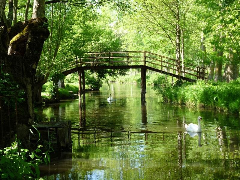 Le Marais Sauvage
