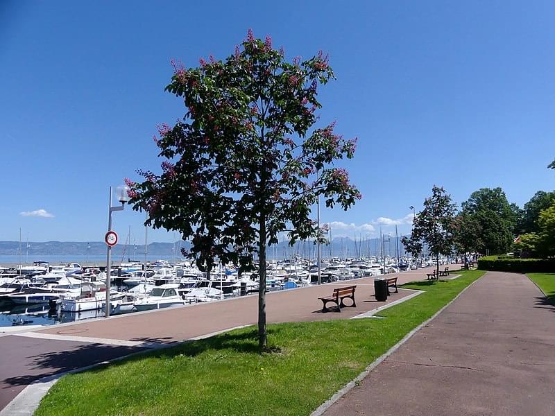 Le Front de Lac