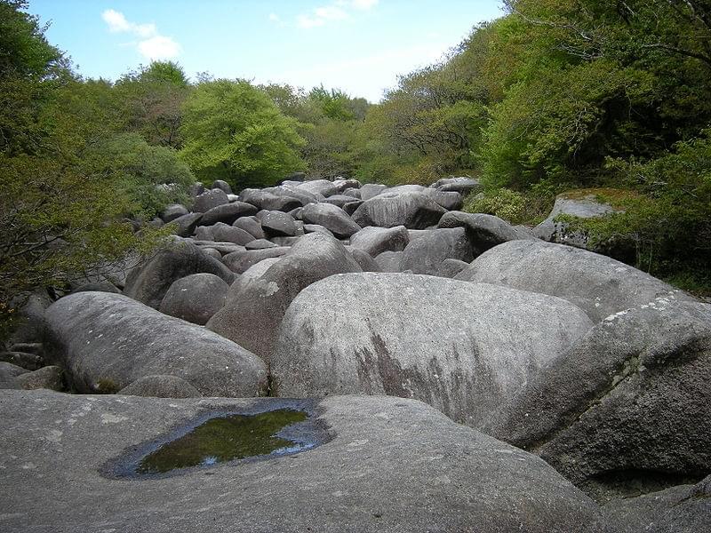 Gorges du Corong