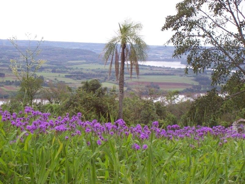 Rio Uruguay