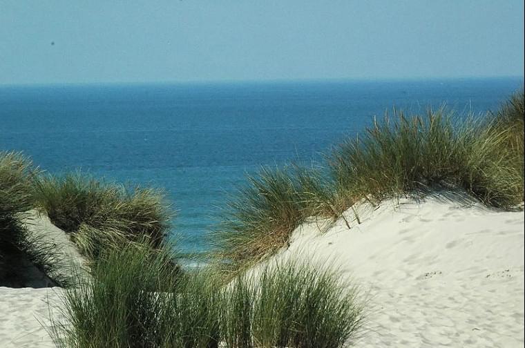 StellaPlage